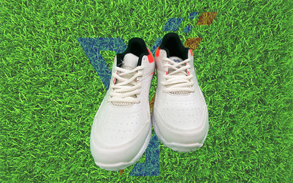 CA Cricket Shoes R1